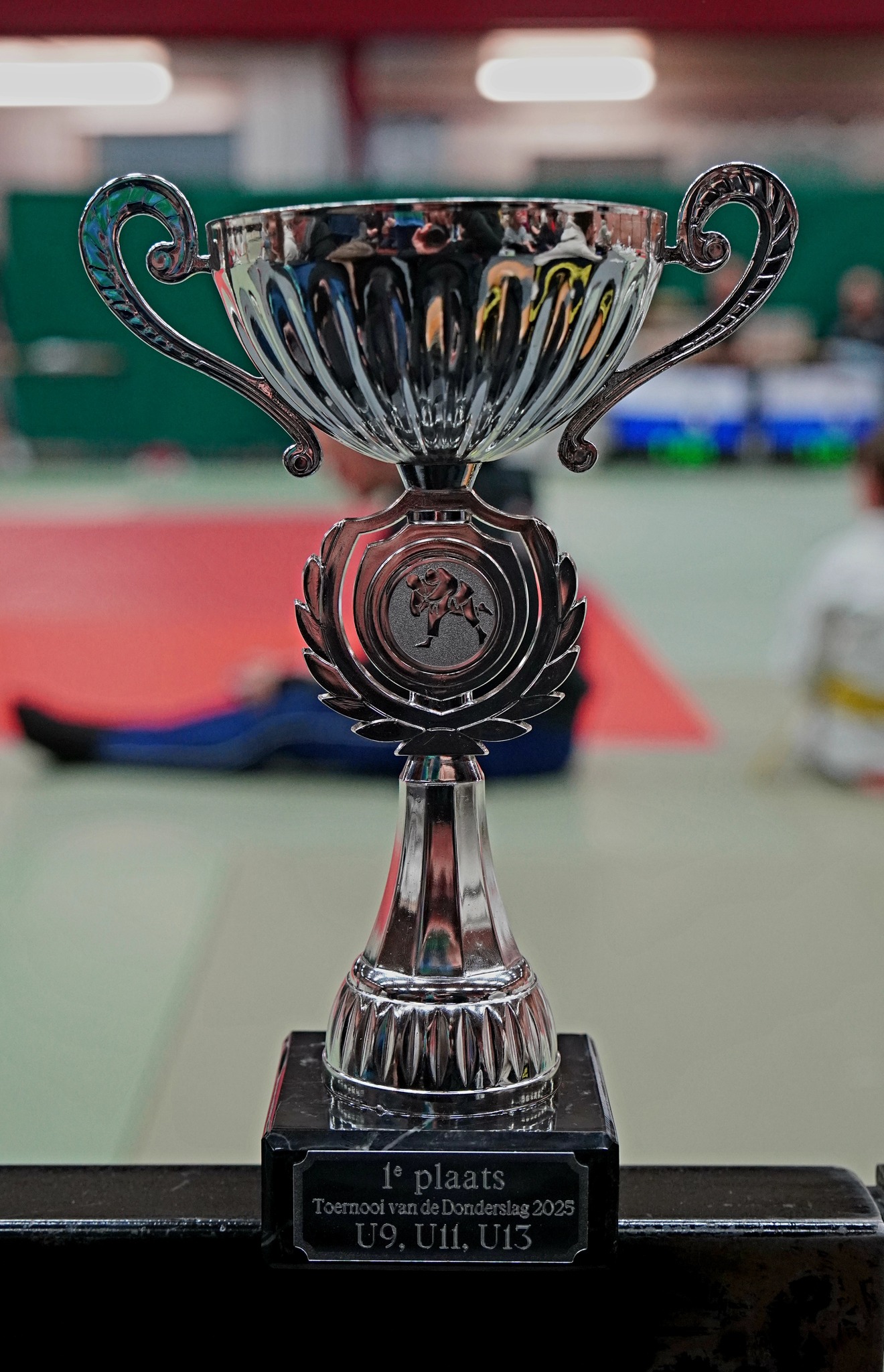 Read more about the article Kodokan und SSV triumphieren gemeinsam in Belgien!